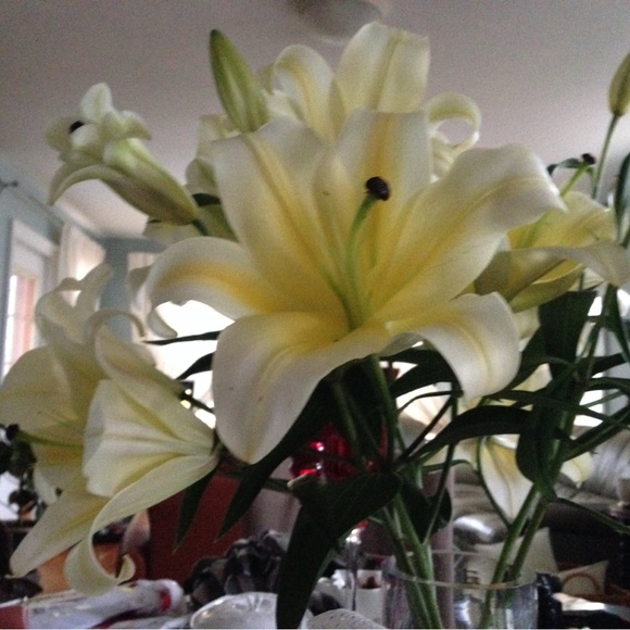 11/8 -6 am eastern Live Share Show!! - Picture 10 of 12